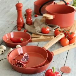 Poêle Ector Induction Aluminium Revêtu Manche En Bois 28 Cm Rouge 11 Poêle Ector Induction Aluminium Revêtu Manche En Bois 28 Cm Rouge -DE BUYER Ventes 108014 4 2 Poele Ector induction aluminium revetu manche en bois 28 cm rouge Ogo