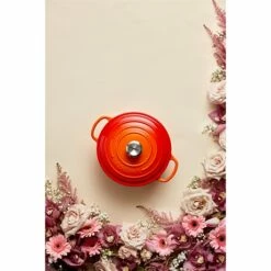 Le Creuset Cocotte Fonte Rond 26 Cm Volcanique 10 Le Creuset Cocotte Fonte Rond 26 Cm Volcanique -DE BUYER Ventes 213185 3 3 Cocotte fonte rond 26 cm volcanique Le Creuset