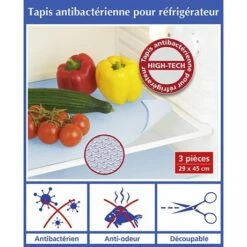 3 Tapis Antibactériens Pour Réfrigérateur -DE BUYER Ventes 60766 3 2 3 Tapis antibacteriens pour refrigerateur Wenko by Maximex